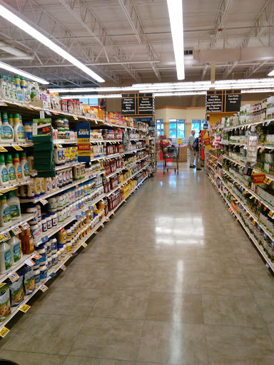 Grocery Store «Food Lion», reviews and photos, 59 Main Street #100, Dawsonville, GA 30534, USA