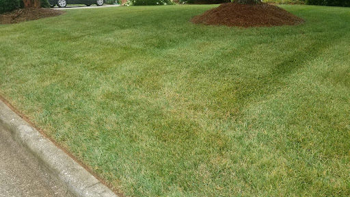 Green with Envy Turf Management