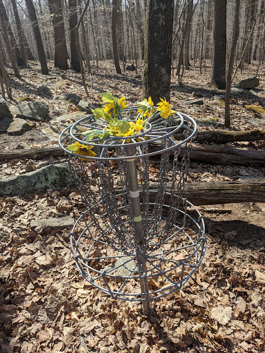 Disc Golf Course «Scarboro Hills Disc Golf Course», reviews and photos, 3130 Sandy Hook Rd, Street, MD 21154, USA