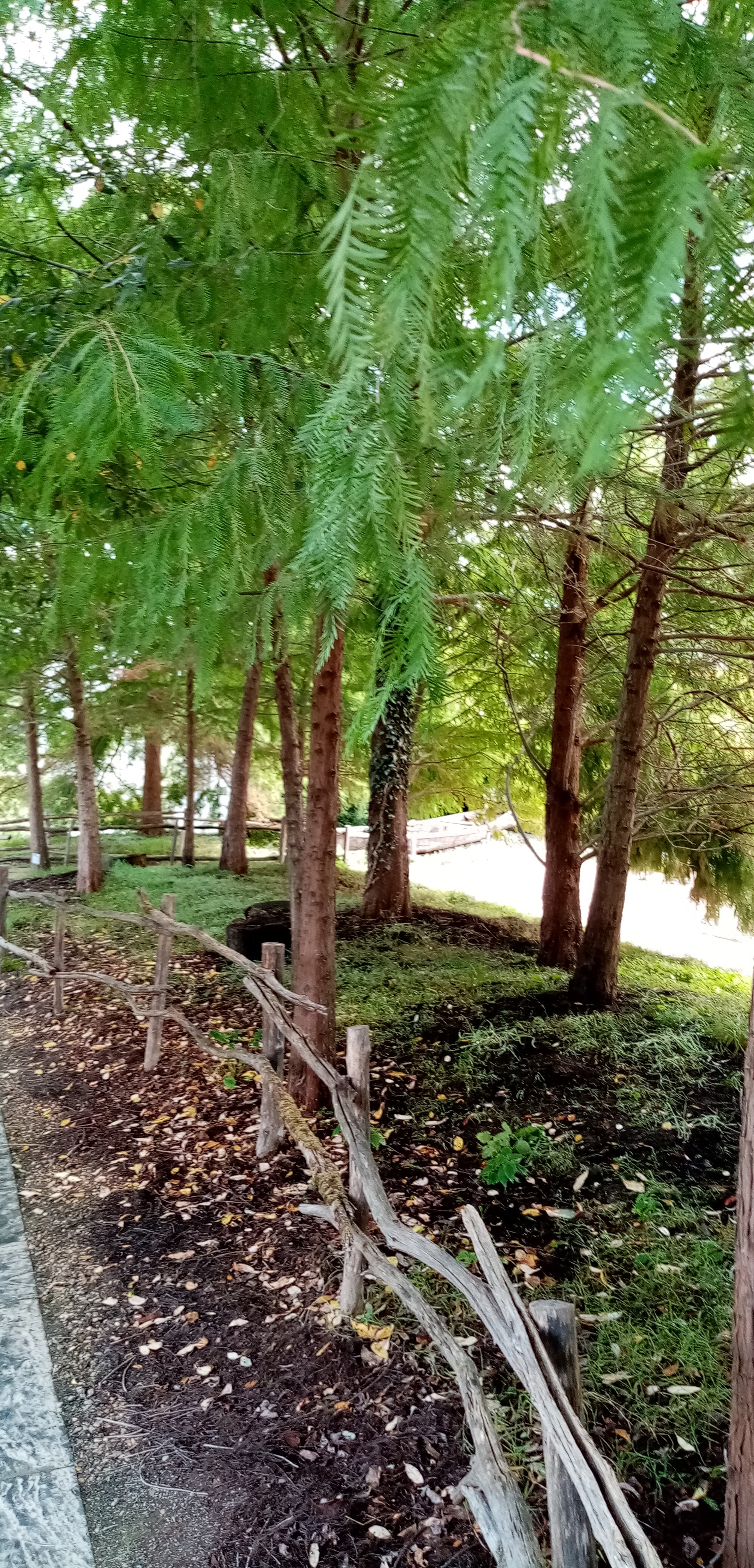 Photo n° 10 de l'avis de Laurent.d fait le 27/09/2019 à 14:02