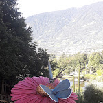 Photo n°9 de l'avis de Claudio.o fait le 17/08/2021 à 13:53 sur le  Schlossgarten à Merano