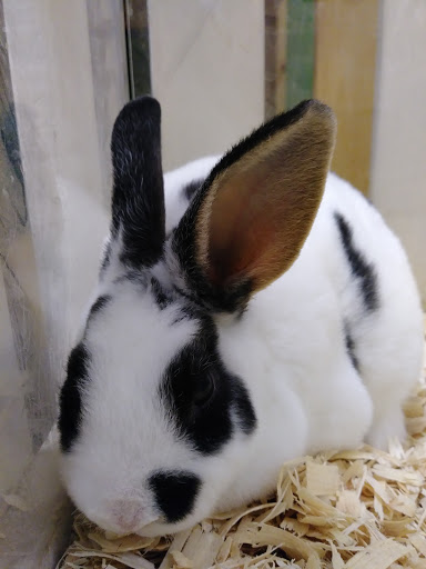 Pet Supply Store «CountryMax - Geneseo», reviews and photos, 4101 Lakeville Rd, Geneseo, NY 14454, USA