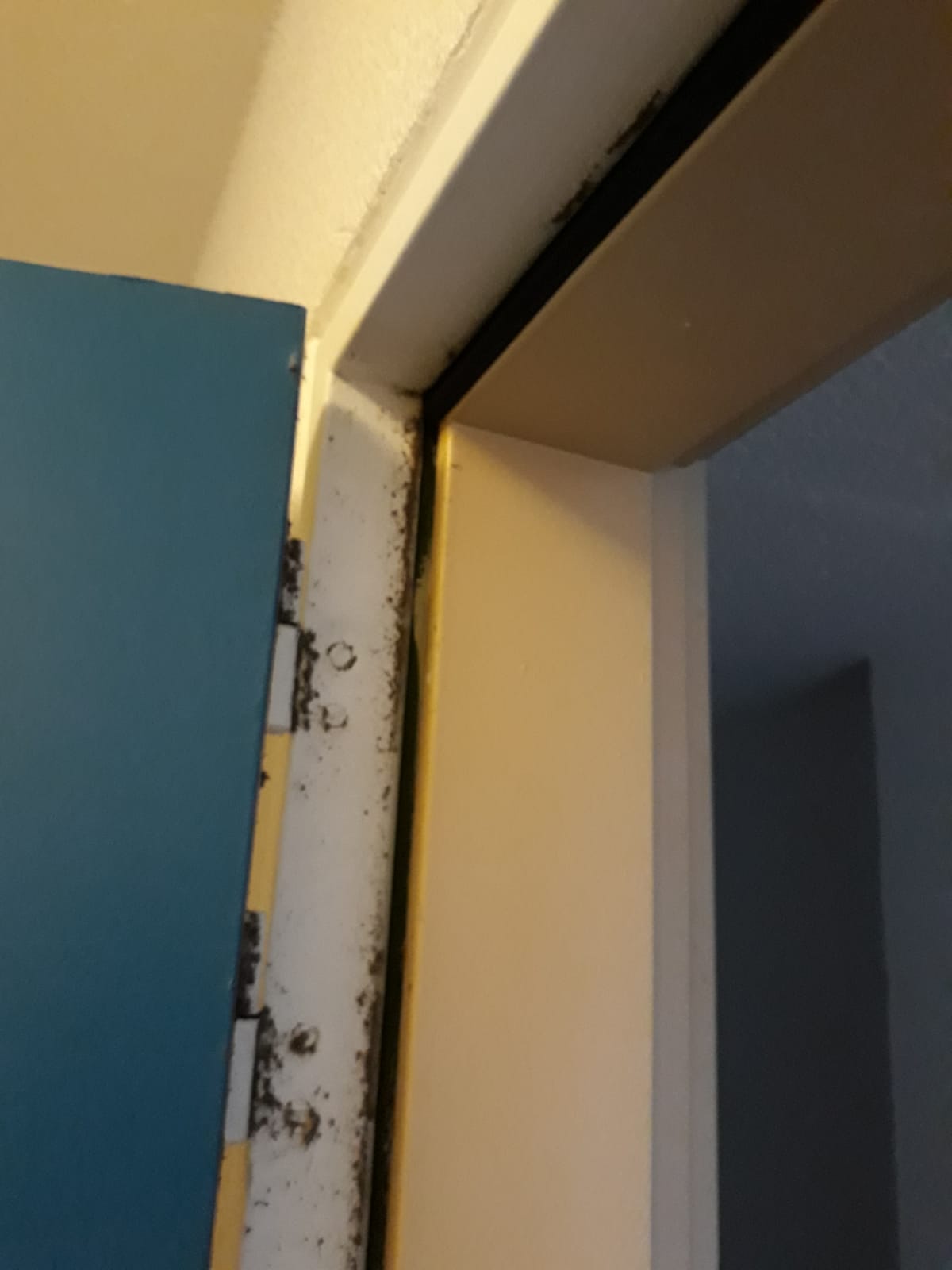 Photo n° 3 de l'avis de Melanie.r fait le 18/10/2018 à 12:30