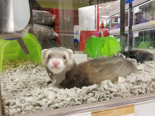 Pet Supply Store «Petco Animal Supplies», reviews and photos, 187 Stonebrook Pl, Jackson, TN 38305, USA