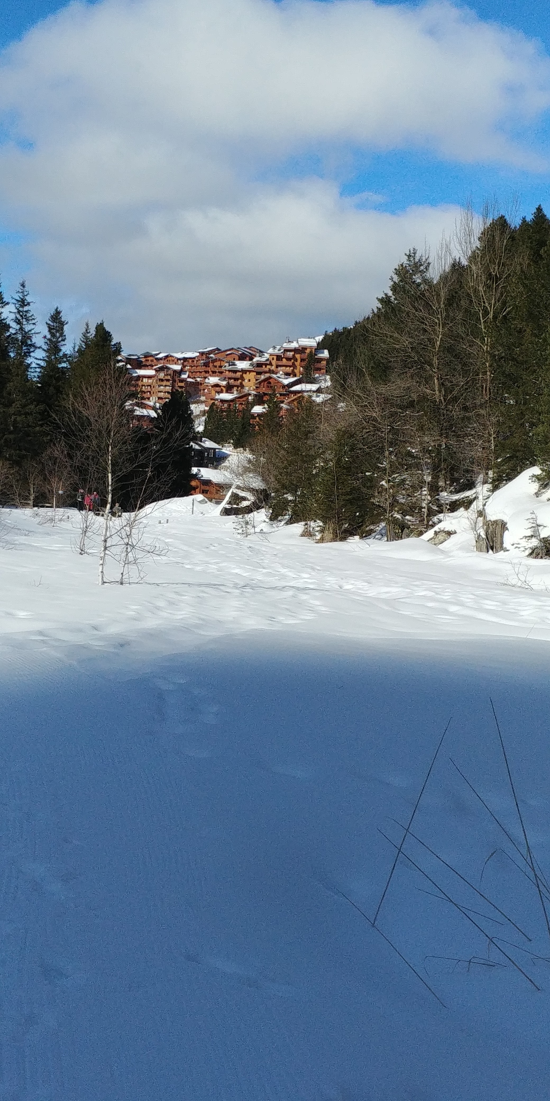 Photo n° 1 de l'avis de Jocelyne.a fait le 22/02/2020 à 10:14