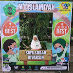 Review Madrasah Ibtidaiyah Islamiyah