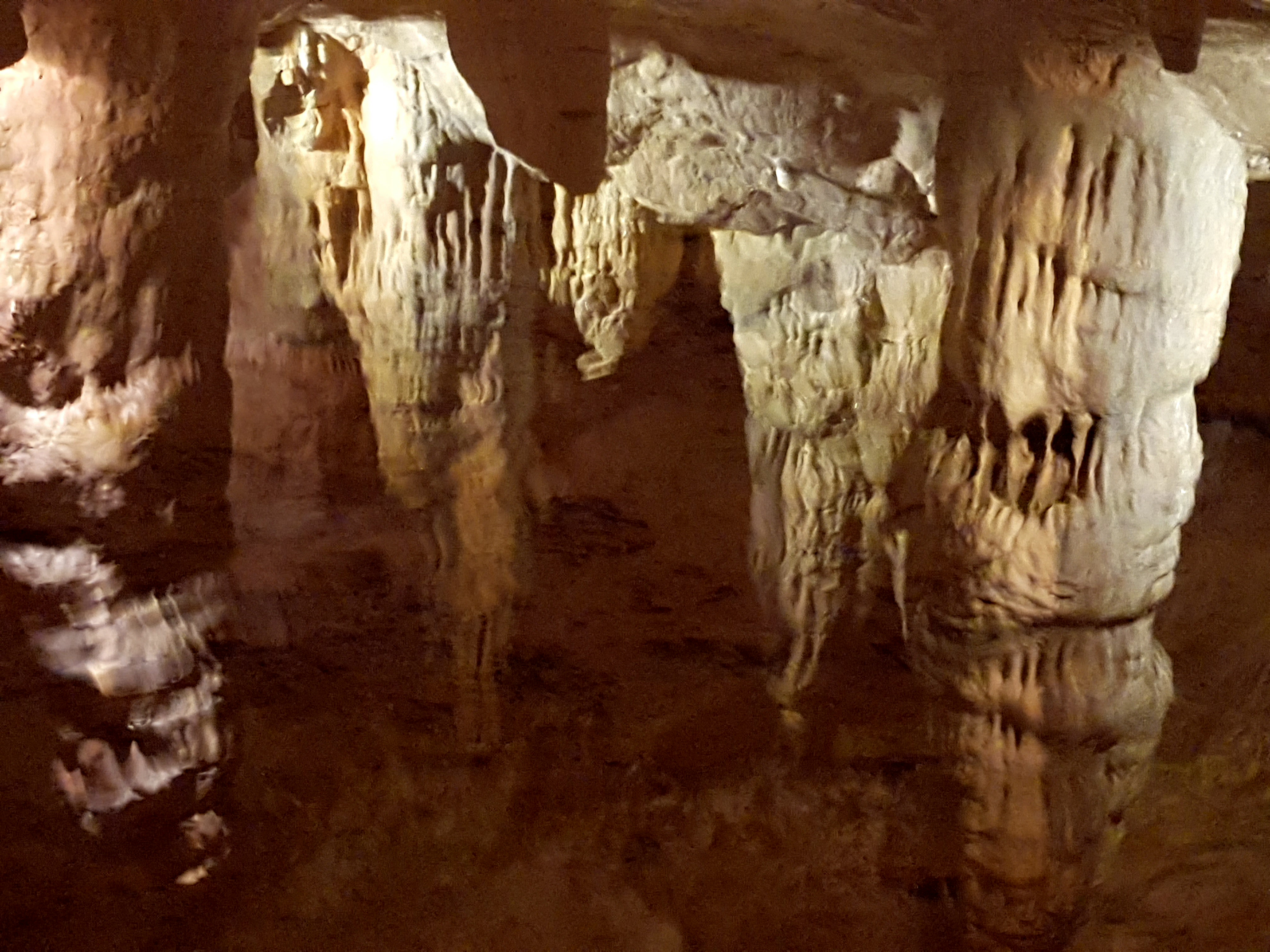 Photo n° 35 de l'avis de Jan.o fait le 05/06/2019 à 17:42