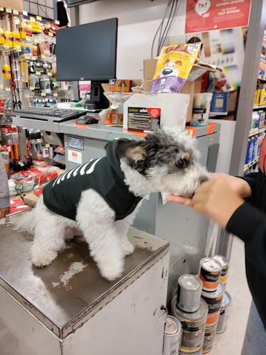 Hardware Store «Tele-Tron Ace Hardware», reviews and photos, 6604 Cermak Rd, Berwyn, IL 60402, USA