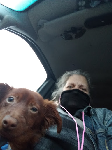 Columbia Veterinary Hospital: Christie Megan DVM image