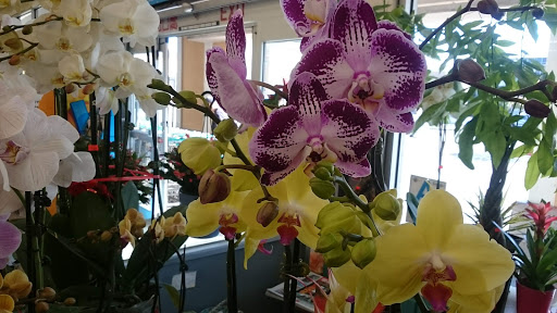 Supermarket «Arcadia Super Market», reviews and photos, 645 W Duarte Rd, Arcadia, CA 91007, USA