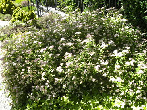 Museum «New Bedford Whaling Museum», reviews and photos, 18 Johnny Cake Hill, New Bedford, MA 02740, USA