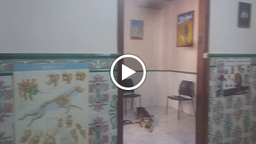 Clínica Veterinaria San Antonio en Xirivella