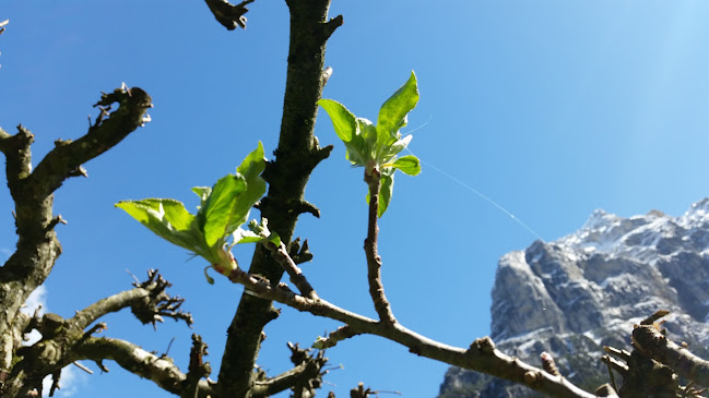 Camping Breithorn GmbH - Campingplatz