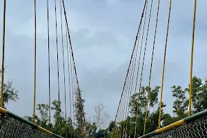 Malatihole Hanging Bridge image