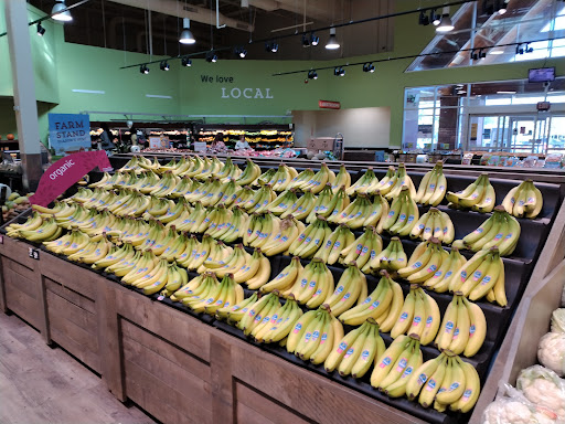 Grocery Store «Hannaford Supermarket», reviews and photos, 1127 North Ave Suite 11, Burlington, VT 05408, USA