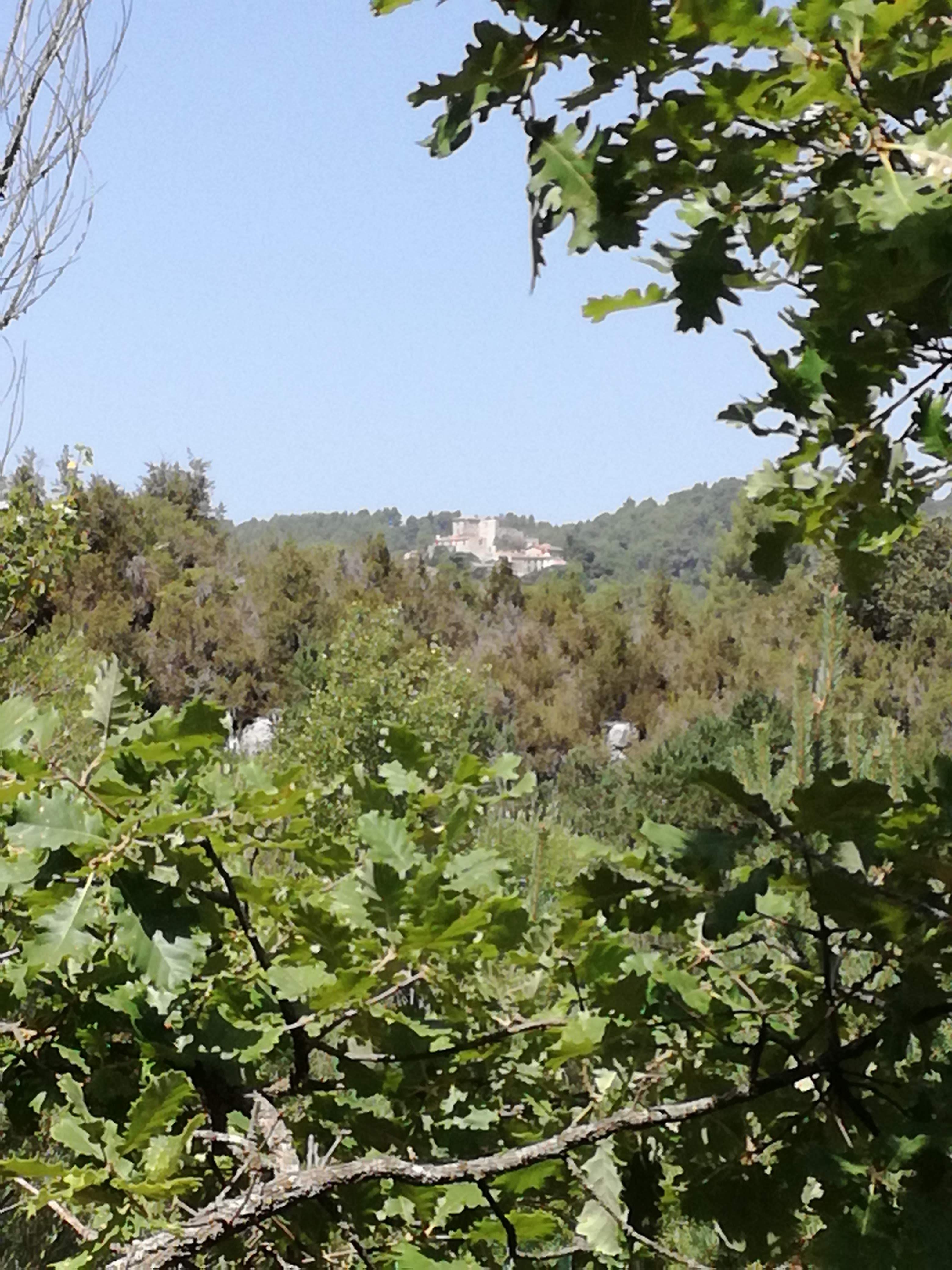 Photo n° 5 de l'avis de Christelle.a fait le 30/08/2019 à 11:39