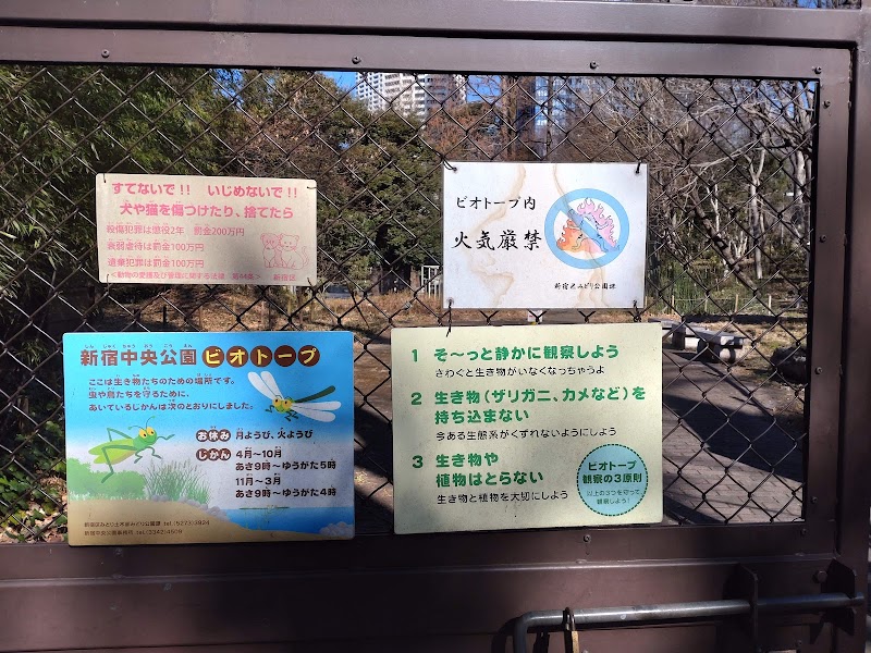 新宿中央公園 ビオトープ