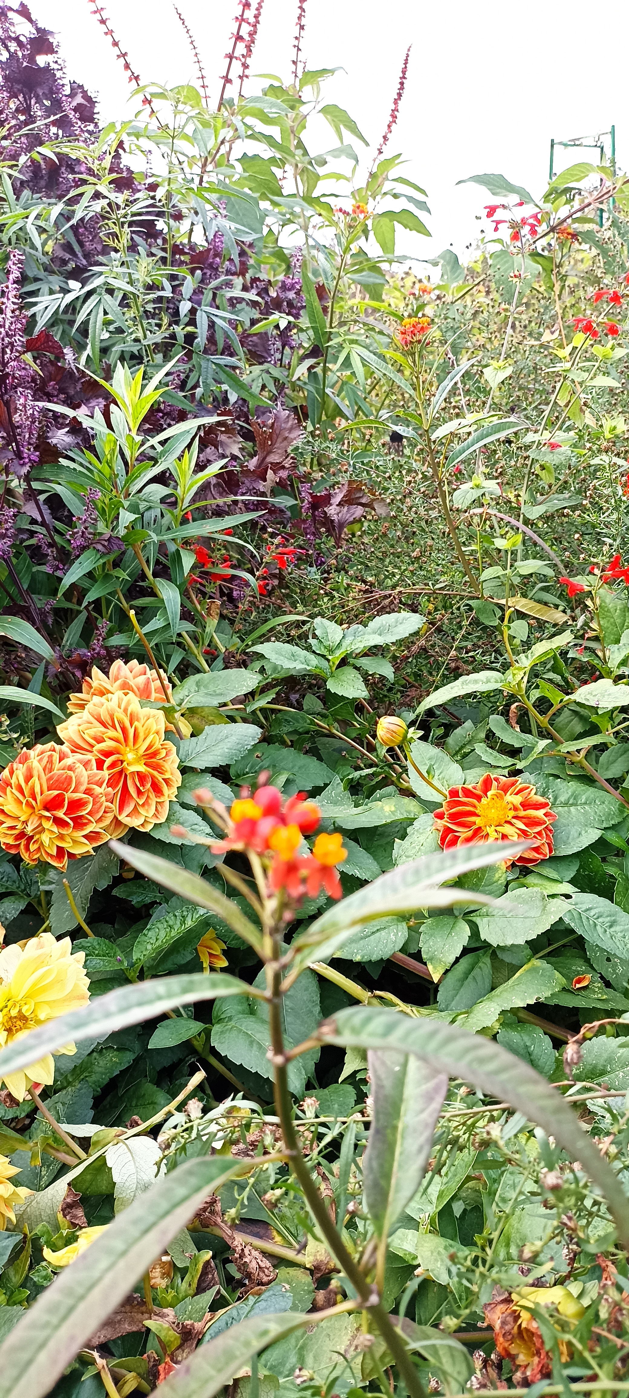 Photo n° 11 de l'avis de Verginia.H fait le 01/11/2022 à 18:08