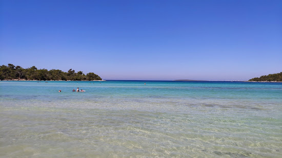 Haydar Bay
