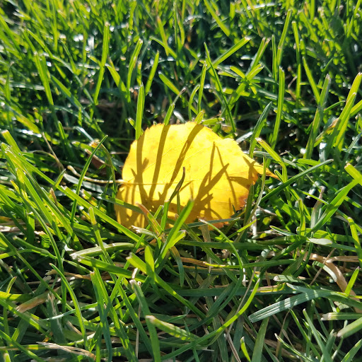 Park «Vermijo Park», reviews and photos, 2601 W Vermijo Ave, Colorado Springs, CO 80904, USA