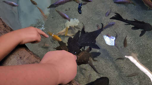 Aquarium «Aquarium of Boise», reviews and photos, 64 N Cole Rd, Boise, ID 83704, USA