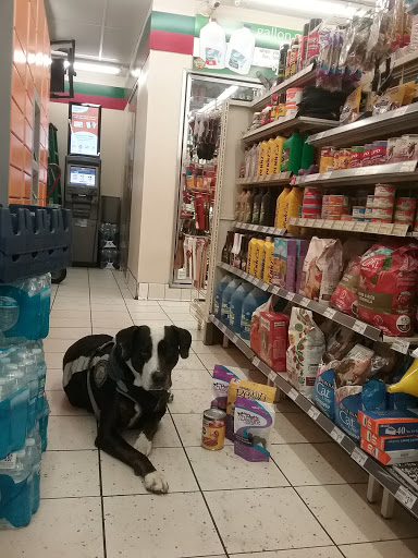 Convenience Store «7-Eleven», reviews and photos, 525 Oak Grove Ave, Menlo Park, CA 94025, USA