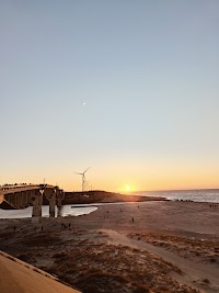大東総合運動場