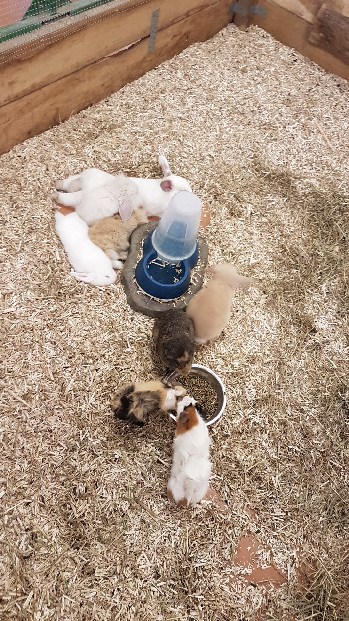 Photo n° 2 de l'avis de Ivana.r fait le 09/07/2018 à 04:53