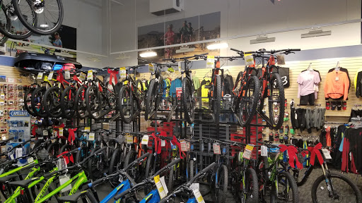 Bicycle Store «Sun & Ski», reviews and photos, 2943 Preston Rd #1400, Frisco, TX 75034, USA