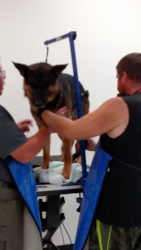 Pet Supply Store «Healthy Pet Center», reviews and photos, 775 New Loudon Rd, Latham, NY 12110, USA