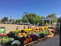 Garden Center at Tractor Supply - Photo 6 - Car repair in Navasota, TX, College Station