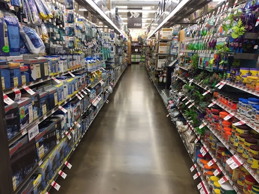 Pet Supplies Plus, 5629 Stone Rd, Centreville, VA 20120, USA, 