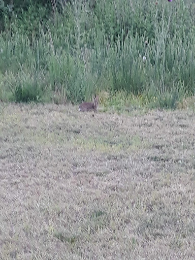 Caterer «Family Fruit», reviews and photos, 2200 Arthur Kill Rd, Staten Island, NY 10309, USA