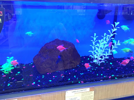 Pet Supply Store «Petco Animal Supplies», reviews and photos, 495 E Lincoln Hwy, New Lenox, IL 60451, USA