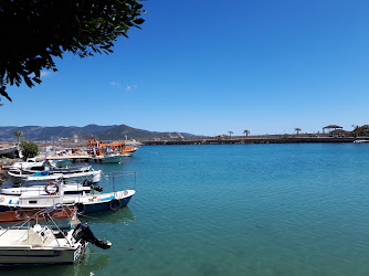 Özkaymak-anamurlular