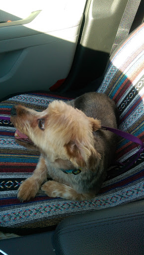 Pet Supply Store «PetSmart», reviews and photos, 1291 Churchmans Rd, Newark, DE 19713, USA