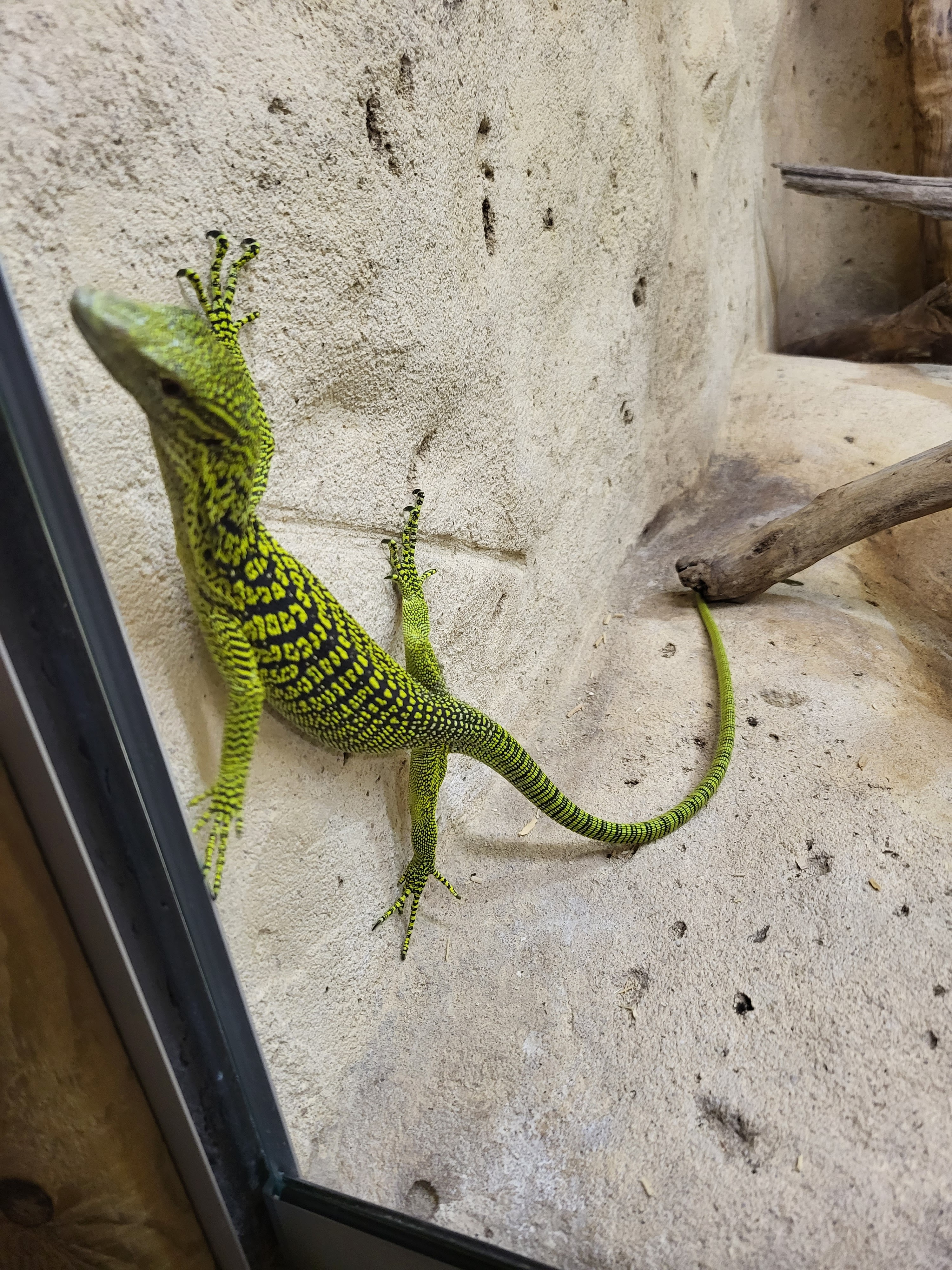 Photo n° 2 de l'avis de Jaap.a fait le 01/08/2023 à 14:43