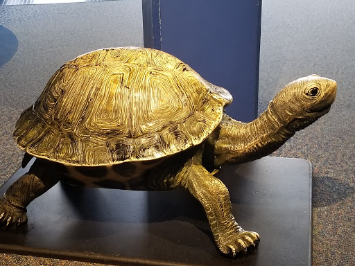 Aquarium «North Carolina Aquarium at Pine Knoll Shores», reviews and photos, 1 Roosevelt Blvd, Pine Knoll Shores, NC 28512, USA