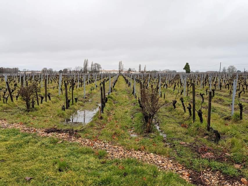 Photo n° 3 de l'avis de Sylvain.a fait le 11/03/2023 à 16:35