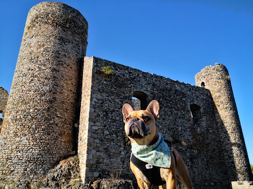 Agence de visites touristiques Tourisme avec mon chien Saint-Rémy-sur-Durolle