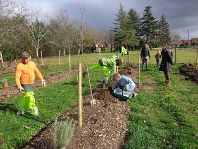 Verger participatif Saint Médard à Mont-de-Marsan