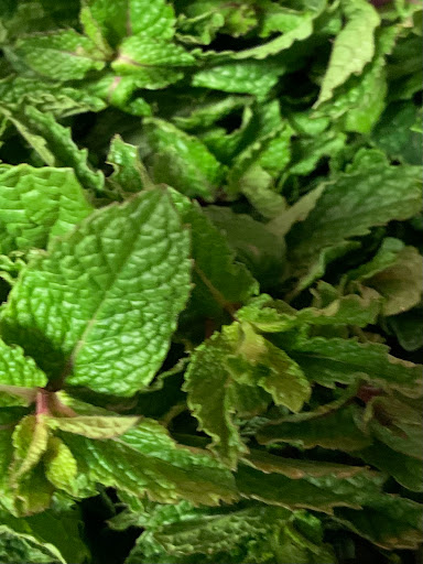 Grocery Store «Asian Market», reviews and photos, 1043 Pedigo Way # 8, Bowling Green, KY 42103, USA