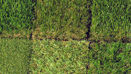 Eden - Artificial Grass Specialists