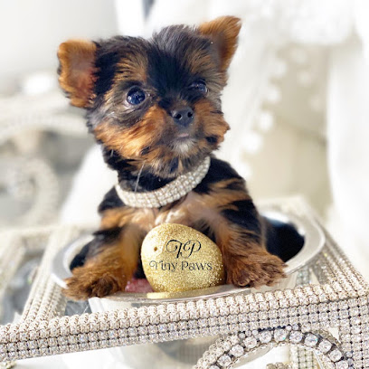 Tiny Paws Teacup & Toy Puppy Boutique
