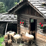 Photo n°3 de l'avis de Alessio.a fait le 06/09/2020 à 20:28 sur le  Restaurant Walde Alm à Welsberg-Taisten