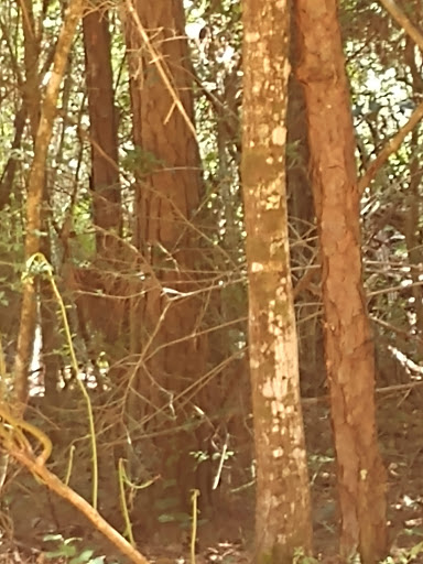 Park «Flint Creek Water Park», reviews and photos, 1216 Parkway Dr, Wiggins, MS 39577, USA