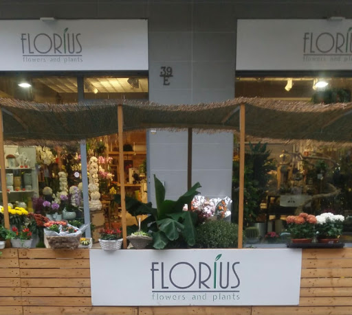 Florius Flower And Plants