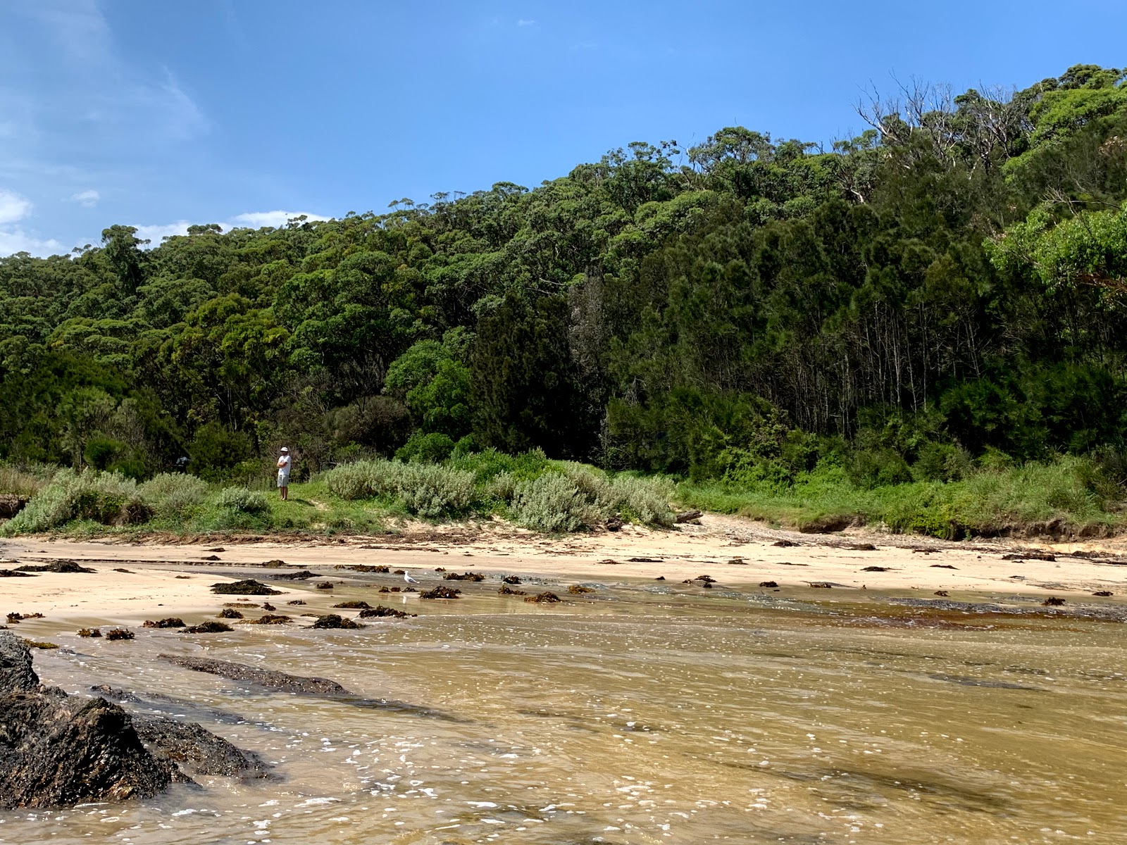 Barlings Beach photo #7