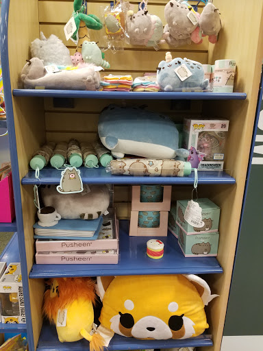 Book Store «Barnes & Noble», reviews and photos, 3400 Forest Dr, Columbia, SC 29204, USA