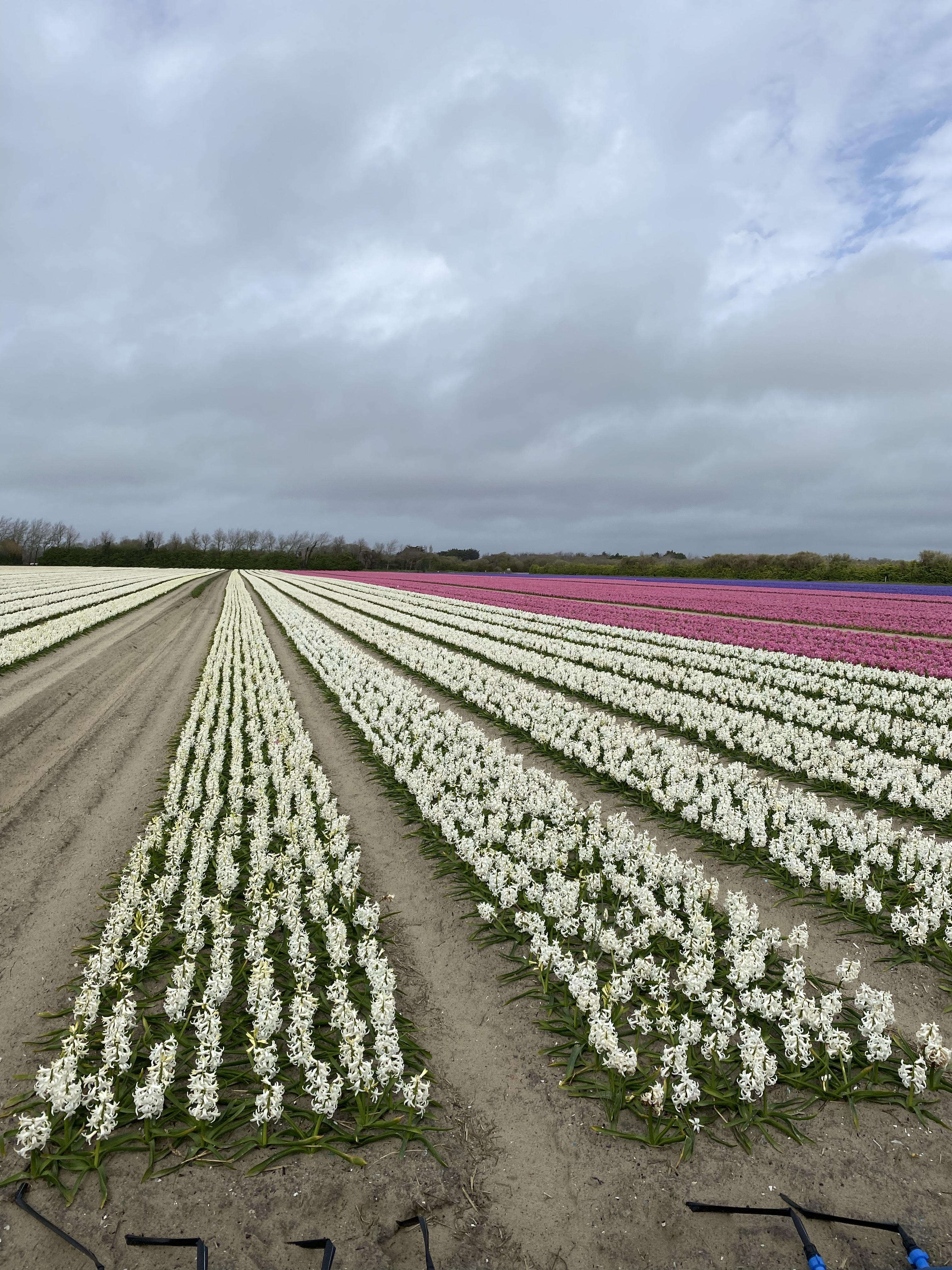 Photo n° 2 de l'avis de Alex.u fait le 22/03/2023 à 17:36